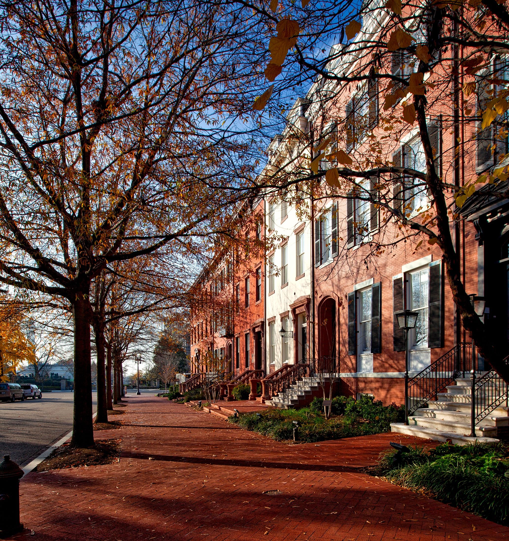 Historic Washington rowhouses and brick walkways beneath autumn trees
